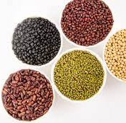 Legumes