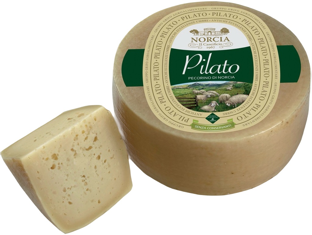 Grifo - Formaggio Pecorino Pilato di Norcia