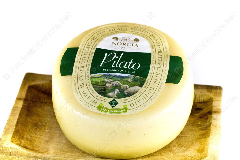 Grifo - Pilato Pecorino Cheese from Norcia