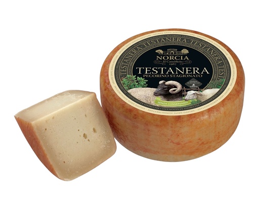 [287750] Grifo - Testa Nera Seasoned Pecorino Cheese